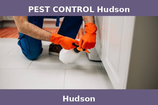 PEST CONTROL Hudson
